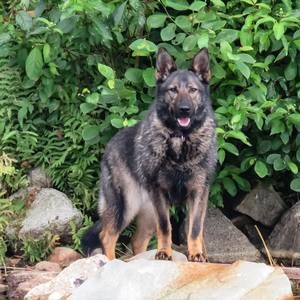 Meet your Posher, Stacy